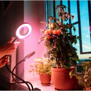 LED növénynevelő lámpa LED VITARO RING 2 csiptetős 8W – Kobi Design